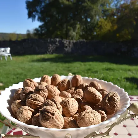 Hébergement de vacances In Gramat With Private Pool Rignac (Lot)